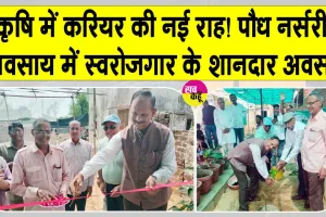 Nursery Business: कृषि क्षेत्र में रोजगार के नए अवसर : डॉ. पुष्पेंद्र सिंह चौहान