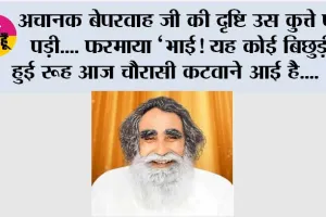 अचानक बेपरवाह जी की दृष्टि उस कुत्ते पर पड़ी.... फरमाया ‘भाई! यह कोई बिछुड़ी हुई रूह आज चौरासी कटवाने आई है....
