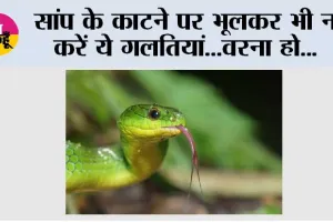 Snake Bite First Aid: सांप काटने पर मरीज को क्या दें और क्या न दें, जानिए पूरी जानकारी
