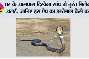 Snake Escape App: घर के आसपास दिखेगा सांप तो तुरंत मिलेगा अलर्ट, जानिए इस ऐप का इस्तेमाल कैसे करें