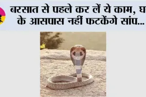 Snake Free Home: बरसात से पहले कर लें ये काम, घर के आसपास नहीं फटकेंगे सांप...