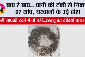 बाप रे बाप... पानी की टंकी से निकले 27 सांप, घरवालों के उड़े होश, कहीं आपकी टंकी में तो नहीं...