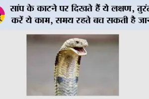 Snake News: सांप के काटने पर दिखते हैं ये लक्षण, तुरंत करें ये काम, समय रहते बच सकती है जान