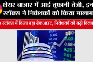 Stock Market News: शेयर बाजार में आई तूफानी तेजी, इन 3 स्टॉक्स ने निवेशकों को किया मालामाल