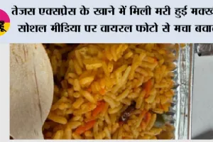 Tejas Express News: तेजस एक्सप्रेस के खाने में मिली मरी हुई मक्खी! सोशल मीडिया पर वायरल फोटो से मचा बवाल