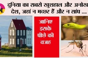 World Happiness Report: दुनिया का सबसे खुशहाल और अनोखा देश, जहां न मच्छर हैं और न सांप, जानिए इसके पीछे की वजह