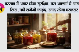 बरसात में अचार होगा सुरक्षित, बस अपनाएं ये आसान टिप्स; नहीं लगेगी फफूंद, स्वाद रहेगा बरकरार