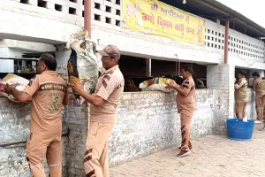 बरनाला में सुरेन्द्र कुमार इन्सां ने अपने जन्मदिन पर गायों को खिलाया 15 क्विंटल हरा चारा