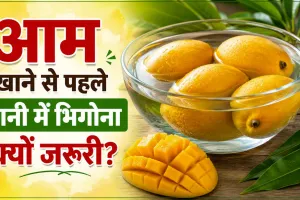 Mango Health Tips: क्या है आम खाने का सही तरीका? खाने से पहले पानी में भिगोना क्यों जरूरी?