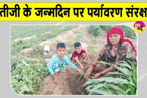 Tree Plantation: भतीजी के जन्मदिन पर फिजूलखर्ची की बजाय पौधारोपण कर दिया पर्यावरण संरक्षण का संदेश