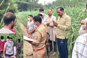 पेड़ पर लटका मिला सड़ागला शव, फैली सनसनी, नहीं हुई शिनाख्त