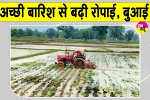 Agricultural News: मानसून की बढ़ती रफ्तार से किसानों के चेहरे खिले, रोपाई-बुआई ने भी पकड़ी रफ्तार