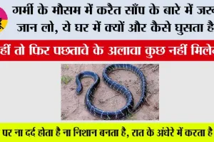 Common krait Snake: कोबरा से भी ज्यादा जानलेवा साबित होता है करैत, रात में सोते समय करता है हमला; शुरुआती लक्षण भी नहीं आते नजर