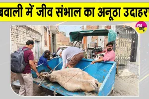 डबवाली डेरा अनुयायियों की जीवों के प्रति प्रेरणादायक मानवता
