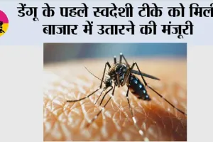 Dengue: डेंगू के पहले स्वदेशी टीके को मिली बाजार में उतारने की मंजूरी
