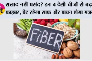 Fiber Rich Foods: सलाद नहीं खाते? इन 4 देसी चीजों से पूरी करें फाइबर की कमी