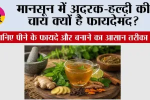 मानसून में अदरक-हल्दी की चाय क्यों है फायदेमंद? जानिए पीने के फायदे और बनाने का आसान तरीका