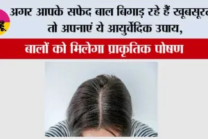 Hair Growth Tips: अगर आपके सफेद बाल बिगाड़ रहे हैं खूबसूरती, तो अपनाएं ये आयुर्वेदिक उपाय, बालों को मिलेगा प्राकृतिक पोषण