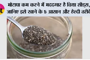 Health News: मोटापा कम करने में मददगार है चिया सीड्स, जानिए इसे खाने के 5 आसान और हेल्दी तरीके