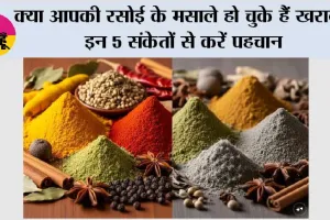 Kitchen Spices: क्या आपकी रसोई के मसाले हो चुके हैं खराब? इन 5 संकेतों से करें पहचान, वरना बढ़ सकता है फूड पॉइजनिंग का खतरा