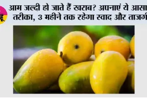 Mango Freezing Tips: आम जल्दी हो जाते हैं खराब? अपनाएं ये आसान तरीका, 3 महीने तक रहेगा स्वाद और ताजगी