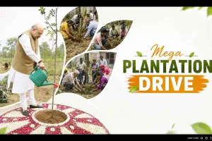 Mission 70 Lakh Plantation: दिल्ली में 'मिशन 70 लाख पौधारोपण' शुरू, सीएम रेखा गुप्ता 300 नई इलेक्ट्रिक बसों को दिखाएंगी हरी झंडी