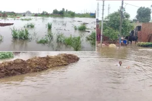Rain News: 24 घंटे की लगातार बारिश से संभलहेड़ा में बाढ़ जैसे हालात, घरों में घुसा पानी, लाखों की फसल बर्बाद