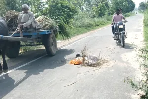 दरक गया भोकरहेड़ी-शुकतीर्थ मार्ग, दुर्घटना की आशंका