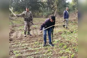 Illegal Opium Farming: अफीम की खेती मामले में 77 मामले दर्ज, 48 आरोपी गिरफ्तार