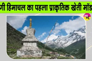 पांगी बना हिमाचल का पहला प्राकृतिक खेती मॉडल उपमंडल, सरकार ने बताया सतत विकास की मिसाल