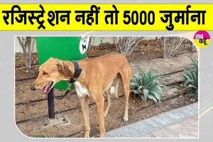 Pet Dog-Cat Registration: ख़बरदार! कुत्तों-बिल्लियों का रजिस्ट्रेशन नहीं कराया तो लगेगा 5 हजार जुर्माना