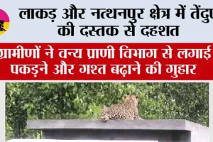 Leopard: लाकड़ और नत्थनपुर क्षेत्र में तेंदुए की दस्तक से दहशत, ग्रामीणों ने वन्य प्राणी विभाग से लगाई पकड़ने और गश्त बढ़ाने की गुहार