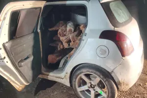 अवैध खैर की लकड़ी से भरी कार पकड़ाई, तस्कर फरार