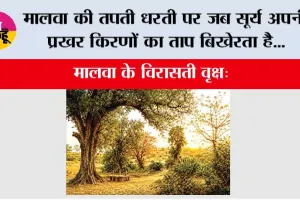 मालवा की तपती धरती पर जब सूर्य अपनी प्रखर किरणों का ताप बिखेरता है...