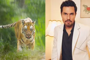 World Tiger Day: विश्व बाघ दिवस पर रणदीप हुड्डा ने दिया वन्यजीव संरक्षण का संदेश