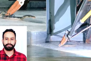 Snake News: जाखल में 3 दिन से अलमारी के नीचे छिपा था 'साइलेंट किलर' कॉमन करैत, नवजोत ढिल्लों ने सूझबूझ से किया रेस्क्यू, टाला बड़ा हादसा