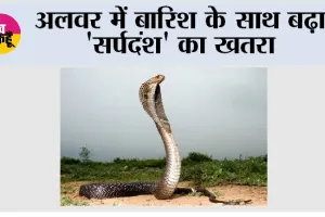 Snake News: अलवर में बारिश के साथ बढ़ा 'सर्पदंश' का खतरा, एक ही दिन में तीन लोग जहरीले सांप के शिकार