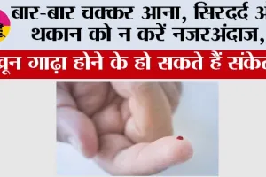Thick Blood Issues: बार-बार चक्कर आना, सिरदर्द और थकान को न करें नजरअंदाज, खून गाढ़ा होने के हो सकते हैं संकेत