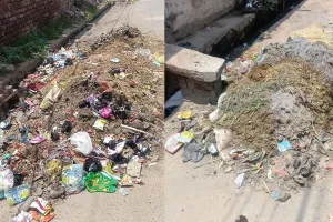रूपनगर में गंदगी का अंबार, गलियां बनीं कचरे का ठिकाना 