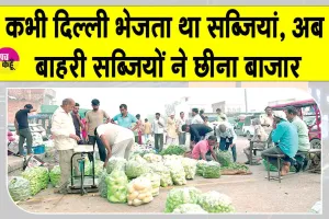 Vegetable Farming: हांसी में सिमट रही सब्जी की खेती, बाहरी सब्जियों ने छीना बाजार