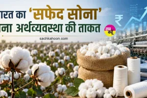 White Gold News: भारत का 'सफेद सोना' बना अर्थव्यवस्था की ताकत, ग्लोबल फाइबर उत्पादन में करीब 19% रही हिस्सेदारी 
