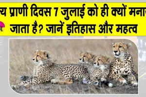 Wild Animal Day 2026: जब भारत ने पहली बार जंगलों की आवाज सुनने का संकल्प लिया