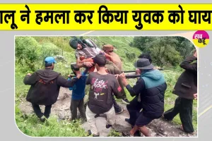 Bear Attack: बगीचे में पहुंचा अचानक भालू, युवक की चीख-पुकार सुन मौके पर पहुंचे ग्रामीण