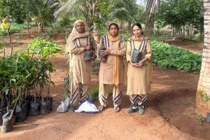 Tree Plantation: पावन अवतार दिवस पर बेंगलुरु और मैसूर की साध-संगत ने किया पौधारोपण