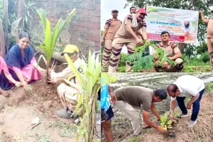 Tree Plantation: पावन अवतार दिवस पर मध्यप्रदेश में छाई हरियाली, साध-संगत ने श्योपुर से बैतूल तक किया पौधारोपण