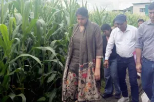 Sweet Corn Farming: टिहरी में ‘कॉर्न विलेज’ मॉडल से खेती को नई उड़ान, स्वीट कॉर्न से किसानों की बढ़ेगी आमदनी