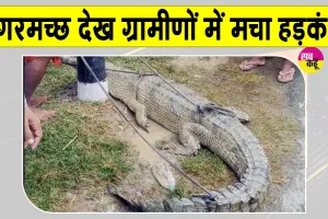 Crocodile News: ग्रामीणों को दिखा मगरमच्छ, मची हलचल; वन विभाग को दी गई सूचना