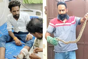 Farrukhabad Snakebite: युवक को सांप ने डसा तो जिंदा सांप लेकर अस्पताल पहुंचा दोस्त, अस्तपाल में हड़कंप