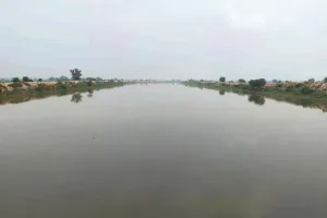 Ghaggar News: घग्घर में फिर आया पानी, धान उत्पादक किसानों के चेहरे खिले 