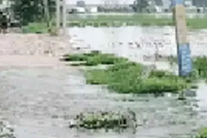 Markanda River: मारकंडा नदी का जलस्तर बढ़ने से गांव कठवा में घुसा पानी 